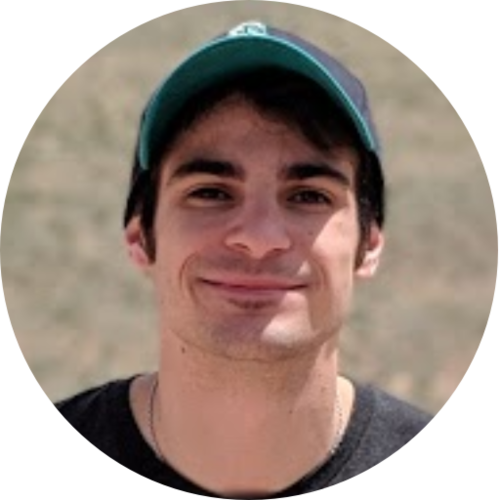 Play like Lebron, but from your couch: Fun and realism in mobile sports games